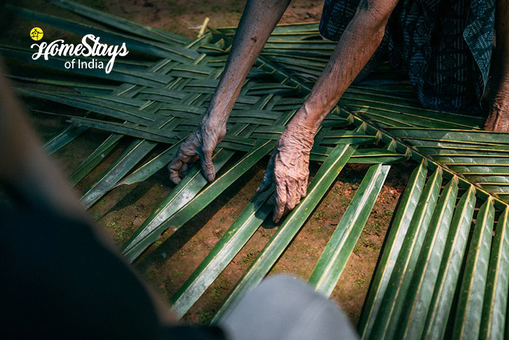 Farm Activity-Mann & Monsoon Homestay, Kerala