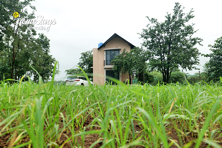 Farm-The Green Path Farmstay-Pali