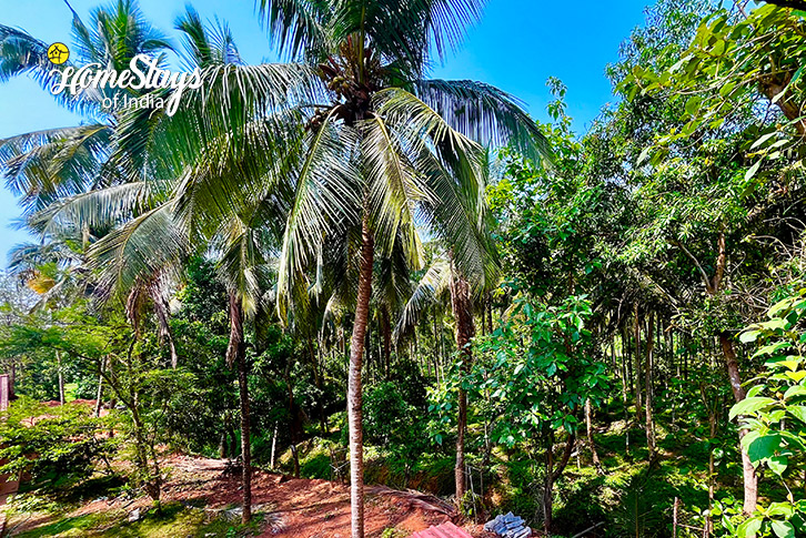 Garden-Riverleaf Villa - Mangalore