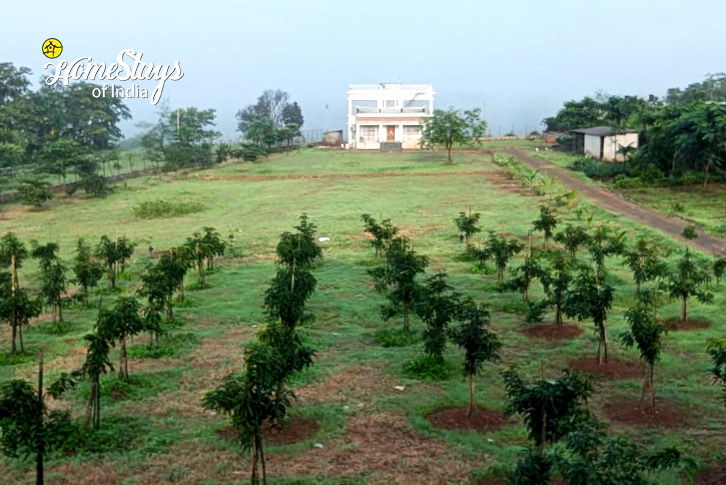 Mango Farm-The Green Path Farmstay-Pali