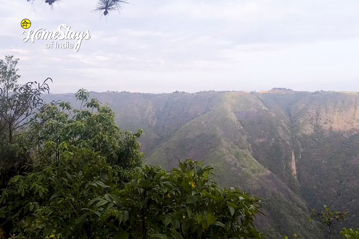 Mountain-Cloud Nest Bamboo Homestay-Cherrapunji 