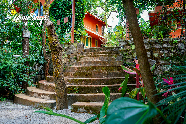 Stair-Nurture Farmstay-Chikmagalur