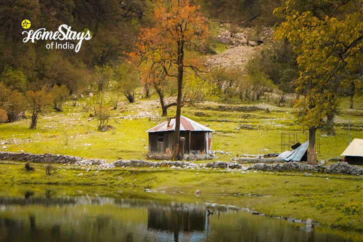 Surrounding 3-The Alpine Stopover Homestay - Agoda