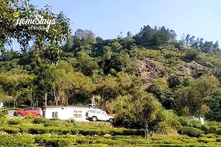 Surrounding-Evergreen Escape Homestay, Kotagiri-Nilgiri