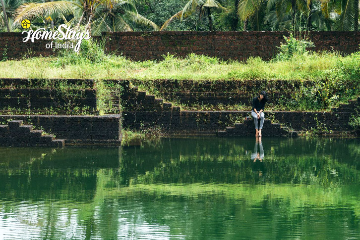 Surrounding-Mann & Monsoon Homestay, Kerala
