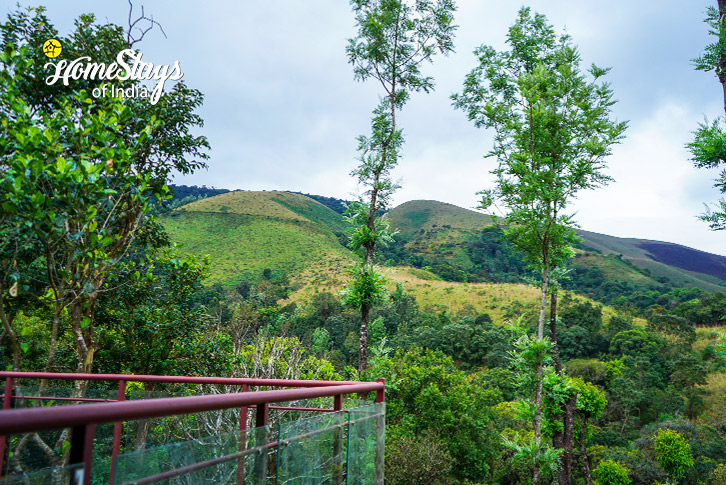 Surrounding-Nurture Farmstay-Chikmagalur