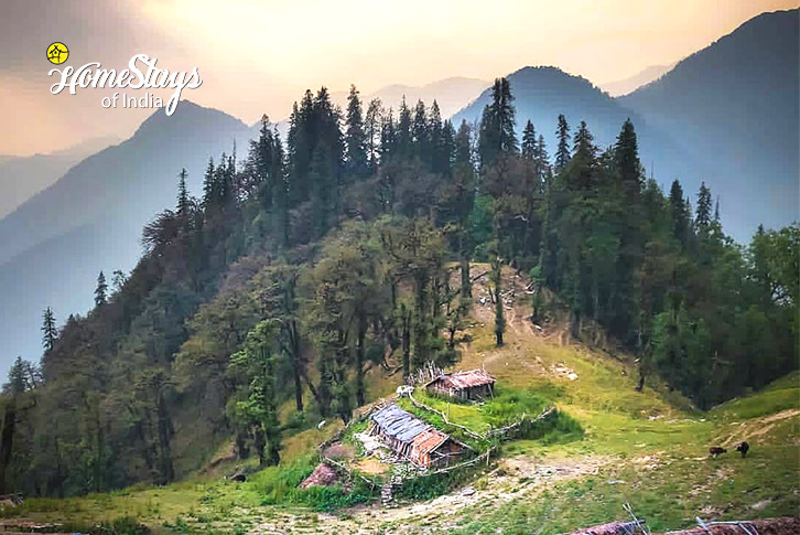 Surrounding-The Alpine Stopover Homestay - Agoda