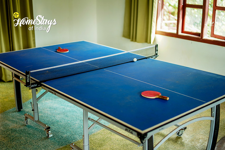 Table Tennis-Nurture Farmstay-Chikmagalur