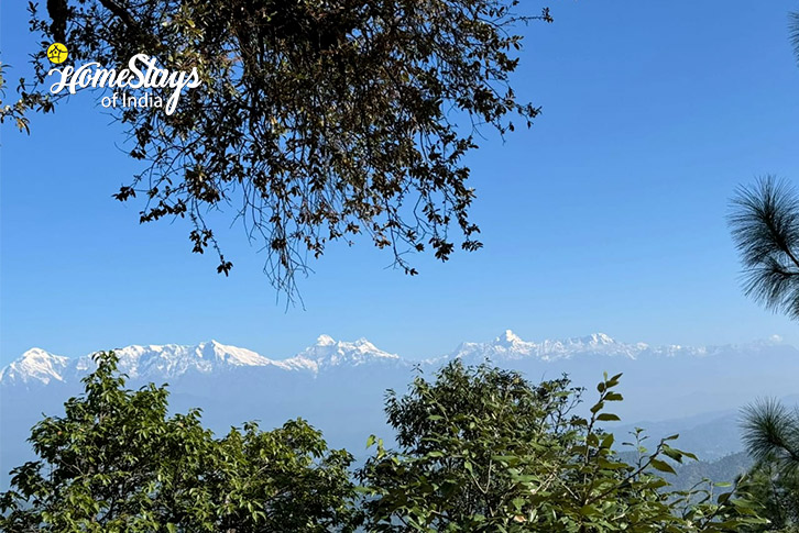 Himalayan view-Beyond the Pines Homestay-Binsar
