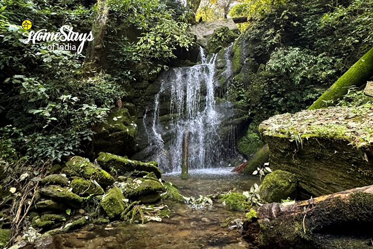 Waterfall-Beyond the Pines Homestay-Binsar
