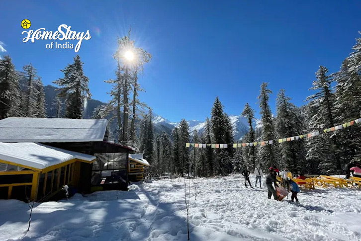 Winter-Snow Pine Cottage, Tosh-Parvati Valley 